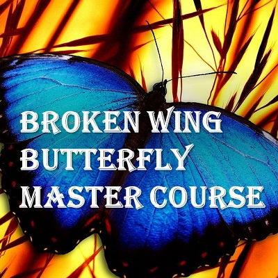 John Locke – Broken Wing Butterfly Master Track Series