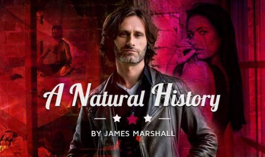 James Marshall – A Natural History – The 6 Phases of the Seducer’s Cycle