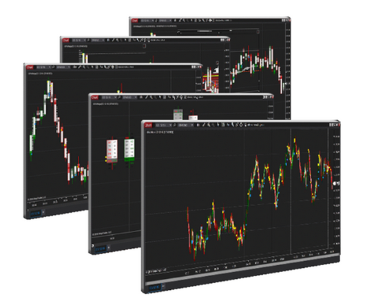 The Institute of Order Flow Analytics – Intensive Boot Camp 5 Day Course