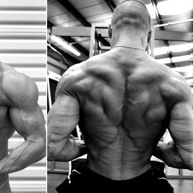 Bodybuilding Beyond the Basics – Alberto Nunez